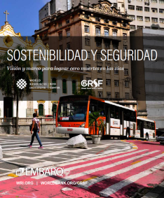 Sostenibilidad y seguridad