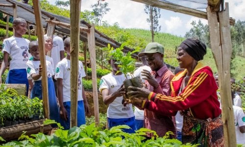 Acciones de restauracion en Africa