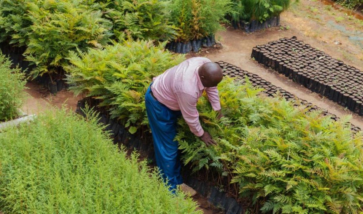 Los subsidios agrícolas inteligentes pueden impulsar la ...