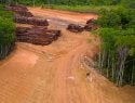 Crimen organizado en el Amazonas