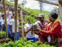 Acciones de restauracion en Africa