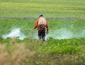 Un agricultor rociando pesticida en un campo.