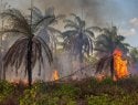 Incendios forestales