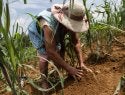 Productore de milpa. Ejido Crescencio Morales, Zitácuaro. Alternare A.C.