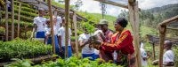 Acciones de restauracion en Africa