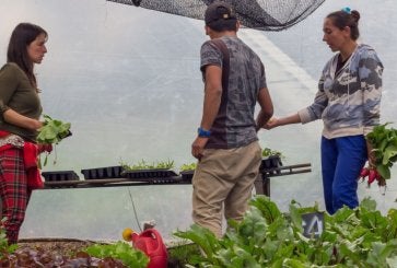 La transición de Colombia hacia una economía baja en carbono podría generar 775.000 empleos para 2035 en los sectores de agronegocios y turismo de naturaleza.