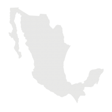 Mexico country outline.