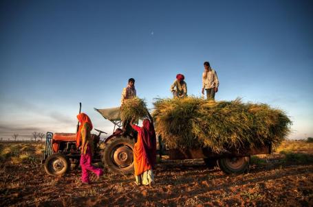 Agricultores en Jaipur por Rawpixel.com en Shutterstock