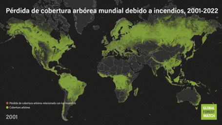 Pérdida de cobertura arbórea mundial debido a incendios 2001-2022