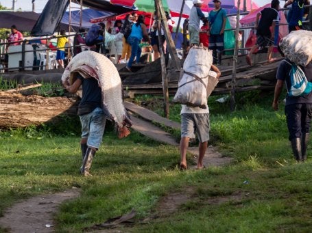 Un hombre carga un enorme pez pirarucú en Leticia, Colombia