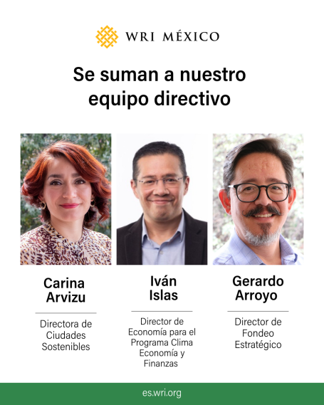 AvisoIngresos
