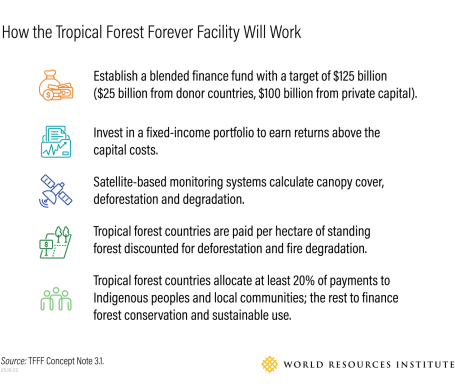 Cómo funciona el TFFF