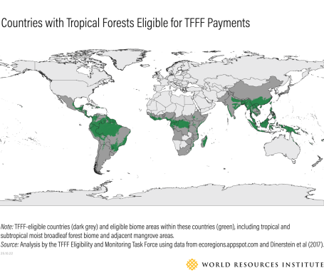 Países con bosques tropicales elegibles para pagos del TFFF