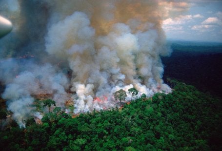 Incendio en la selva tropical del Amazonas