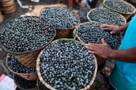 Fruta fresca de açaí cosechada en la selva amazónica se vende en un mercado de Belém, Brasil.