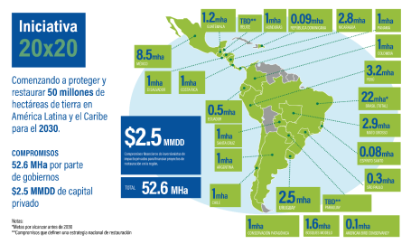 Infografía de I20x20