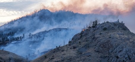 Una ladera carbonizada en Ashcroft, Columbia Británica (Canadá), tras un incendio forestal ocurrido en 2025. Los incendios, cada vez más frecuentes e intensos, dificultan la recuperación de los bosques tras los incendios forestales. Foto de MikoFox/Flickr.