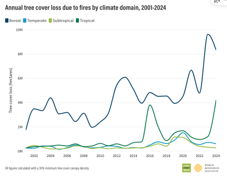 Annual tree cover loss due to fires by climate domain, 2001-2024