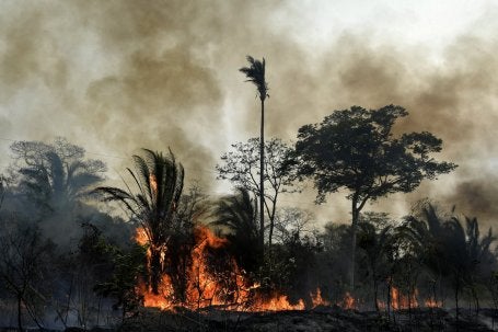 Las estrategias de protección y la ampliación de la financiación se encuentran entre las medidas disponibles para ayudar a los bosques a resistir los incendios forestales y recuperarse de ellos. Foto de Protección Civil y Ayuda Humanitaria de la UE/Flickr.