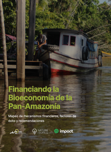 Portada Financiando la bioeconomía de la Pan-Amazonía
