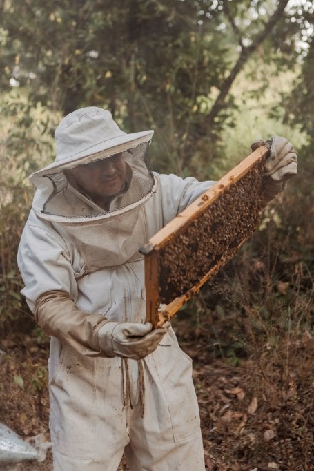 Productor en Apiario. Ejido San Miguel Chichimequillas, Zitácuaro. Cortesía del Premio Eugenio Garza Sada para Alternare A.C.
