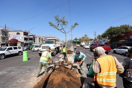 Campaña Reforestación