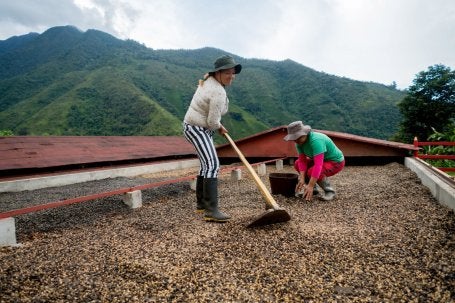 Dos mujeres ayudan a extender granos de café para secarlos en una finca cafetera colombiana. Solo el 54 % de las mujeres participa en la fuerza laboral del país. 