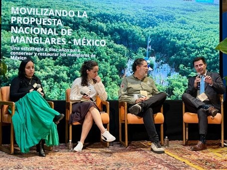 panel “Financiamiento para la conservación y restauración de los manglares de México”