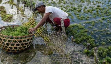 Climate Finance Is a Top Story to Watch in 2025