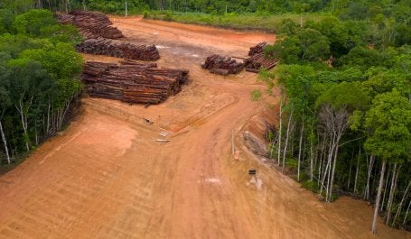 Crimen organizado en el Amazonas