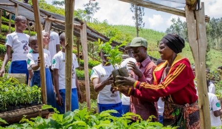 Acciones de restauracion en Africa