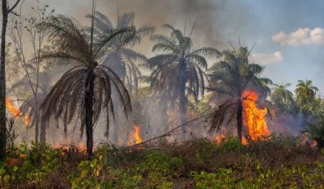 Incendios forestales