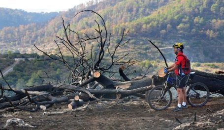 La capacidad de un bosque para recuperarse de los incendios forestales depende de una serie de elementos interrelacionados. Imagen de chameleonseye/iStock