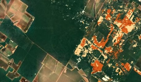 Mapa de deforestación en prueba
