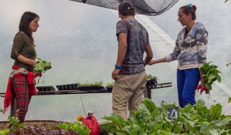 La transición de Colombia hacia una economía baja en carbono podría generar 775.000 empleos para 2035 en los sectores de agronegocios y turismo de naturaleza.