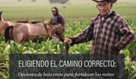 Eligiendo el camino correcto: Opciones de bajo costo para fortalecer las metas climáticas de México logrando beneficios sociales a largo plazo