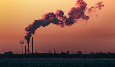 Crédito de foto: Marek Piwnicki/Unsplash