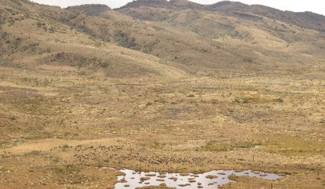 Crédito de foto: Diego Restrepo-Zambrano/Conservación Internacional Colombia