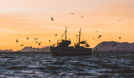 Las inversiones sostenibles basadas en el océano pueden generar una serie de beneficios para las economías, las comunidades, las empresas y los hogares. Foto por Knut Troim/Unsplash