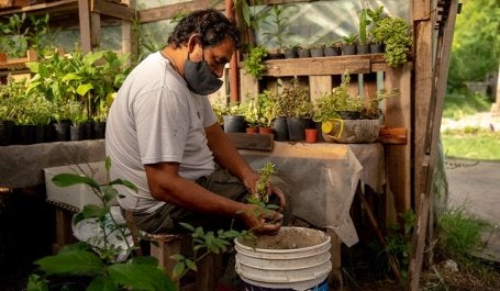 El Programa de Agricultura Urbana de Rosario, finalista del Premio de Ciudades 2020-2021 del WRI, se ha convertido en una piedra angular de su planificación de acción climática inclusiva, al tiempo que alivia la escasez de alimentos y brinda oportunidades económicas. Foto de WRI Ross Center for Sustainable Cities