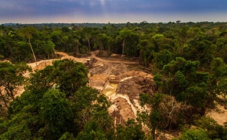 Deforestación en el Amazonas de Brasil