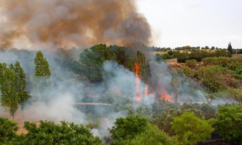 Un gran incendio forestal arde cerca de Barcelona, España, en 2022. Ese año, el país registró una presencia extrema de incendios, alimentada en parte por condiciones de calor y sequía sin precedentes. Foto de Antonio Macías en iStock