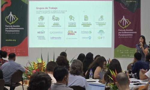 Foro de Acción por la Bioeconomía Panamazónica 1