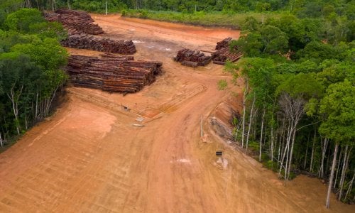 Crimen organizado en el Amazonas