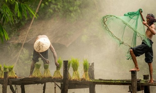 Pescador en selva tropical