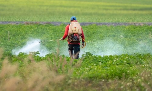 Un agricultor rociando pesticida en un campo.