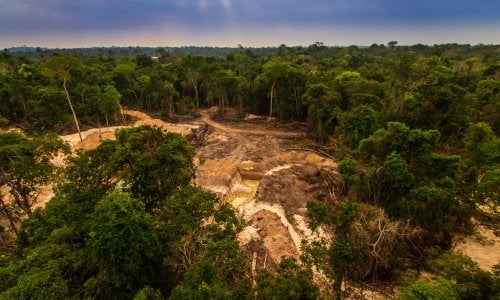 Deforestación en el Amazonas de Brasil