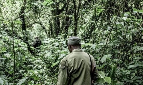 Defensores de la tierra