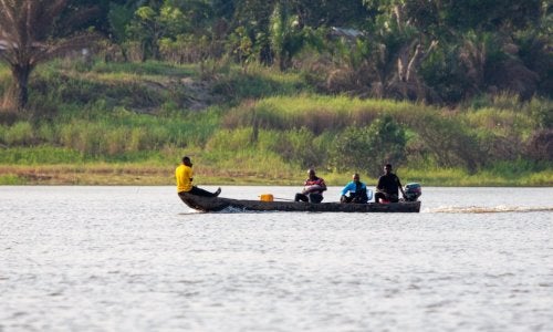 Defensores de la tierra