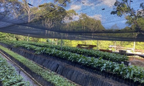Proyecto BioCaquetá
